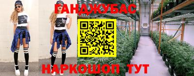 скорость Новозыбков