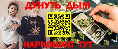 скорость Новозыбков