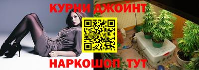 скорость Новозыбков